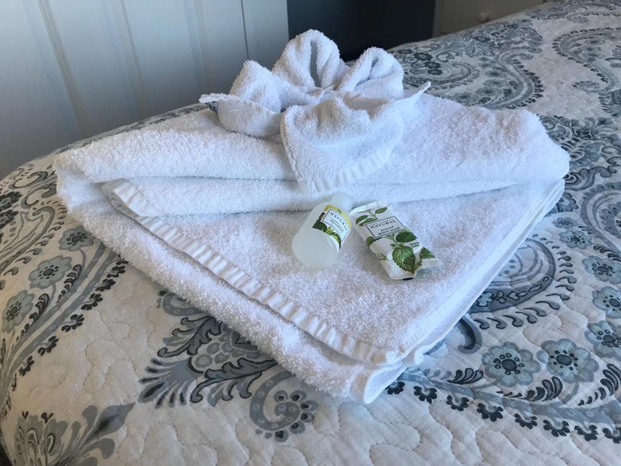 Motueka Homestay Bed & Breakfast Extérieur photo